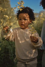 Charger l'image dans la galerie, Pull en velours, coloris peach